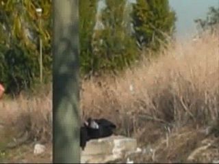 casting para modelos