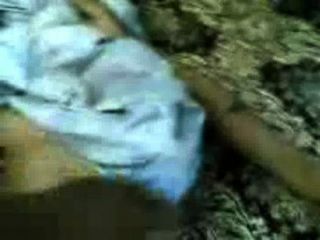 selenerey