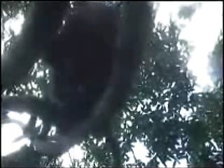 african amateurs threesome outdoor