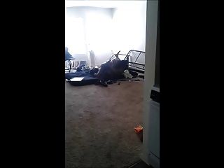 dl thug gets pounding
