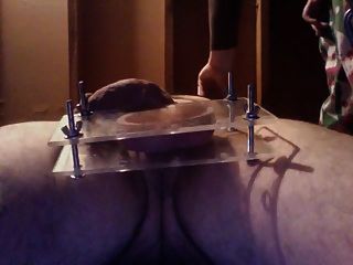 testickle vise