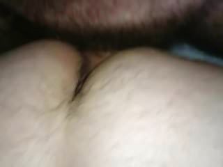 maduro peludo