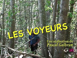en voiture devant des voyeurs