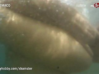 bangbros brunette fuckes on sof